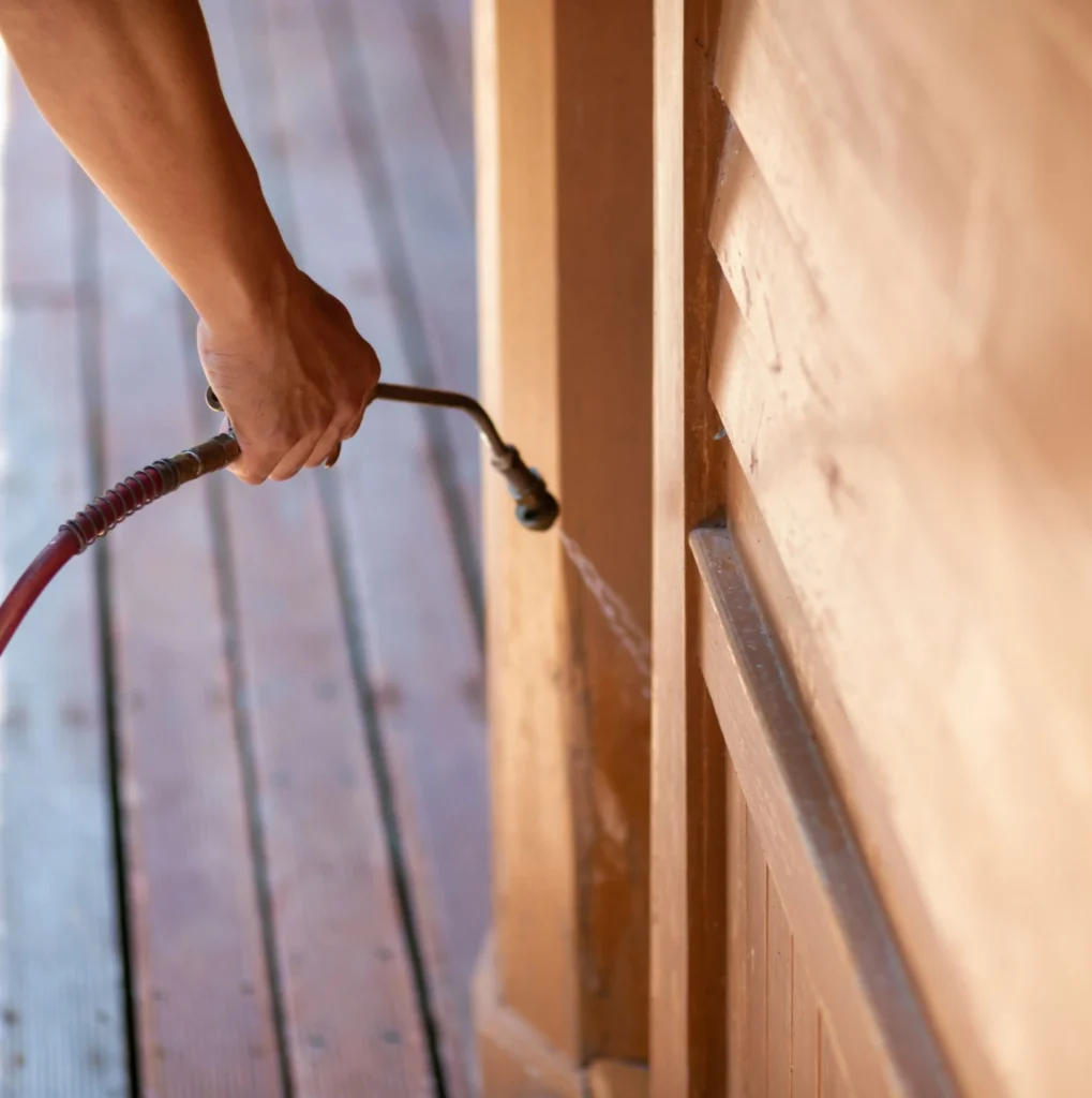 Trusted Pest Control - Pest Control Pros | Basking Ridge, NJ | 862-727-7627